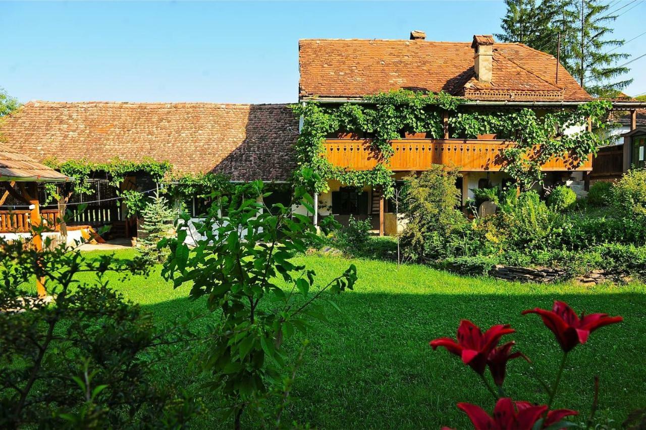 Transylvanian Country House Vetca Ngoại thất bức ảnh