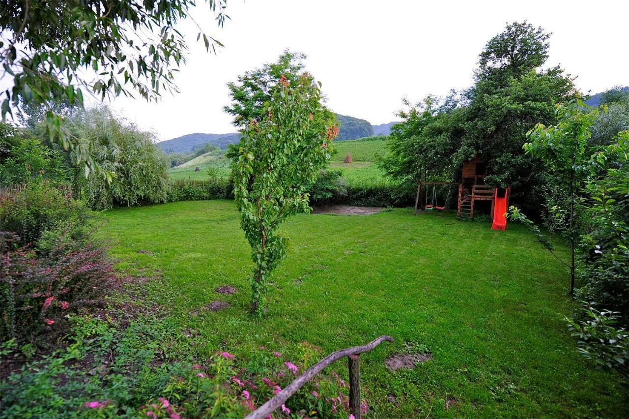 Transylvanian Country House Vetca Ngoại thất bức ảnh